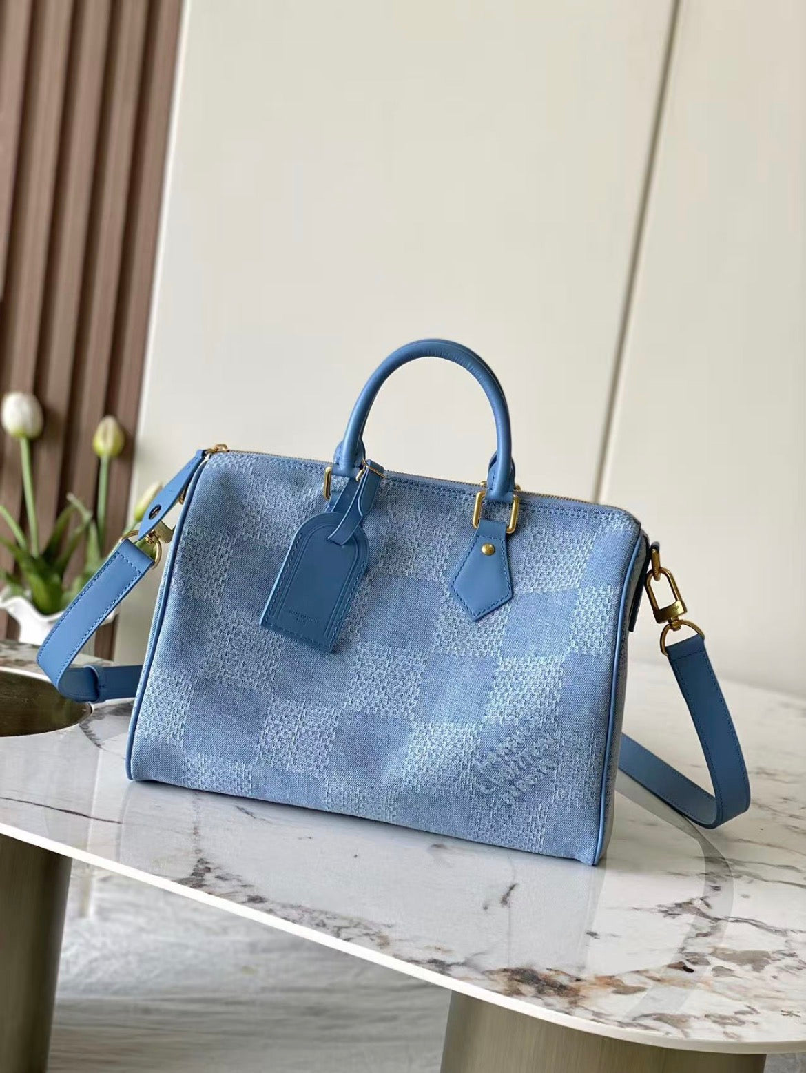 Sac Louis Vuitton